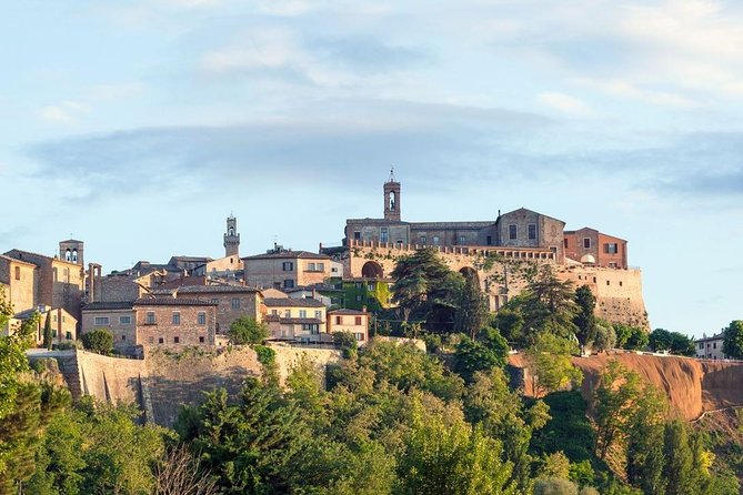 Day Trip From Rome: Deluxe Wine Tasting in Montalcino - Private Tour - Tips for Your Day Trip