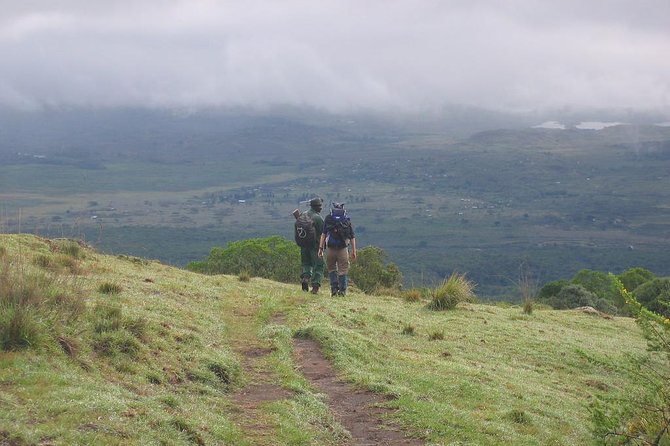 Day Trip Game Drive- Arusha National Park From Arusha Town - Cancellation Policy