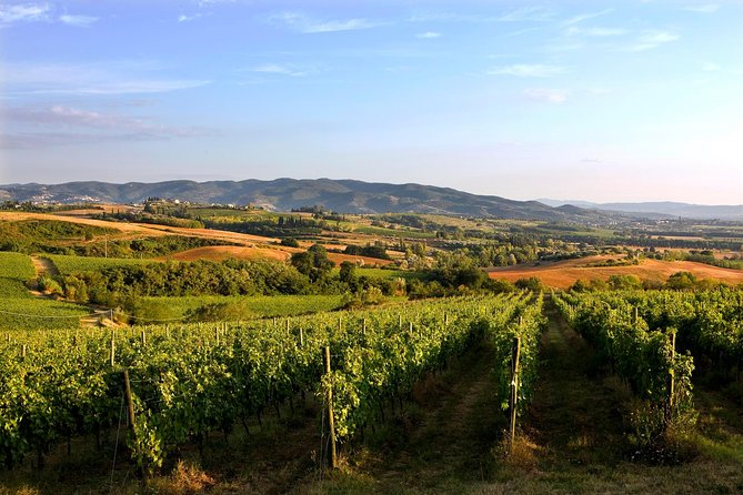 Day Trip: Gubbio Private Tour With Lunch in Wine Cellar + Horseback Ride - Operator and Price
