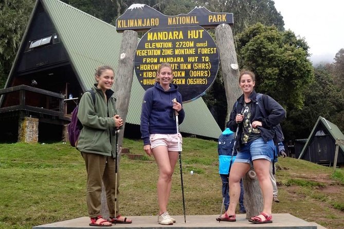 Day Trip to Kilimanjaro Hike to Mandara Hut - Accessibility Options