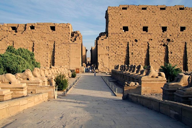 Day Trip To Luxor From Marsa Alam - Accessibility Features