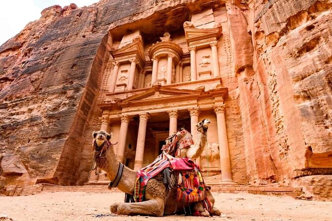 Day Trip to Petra From Amman - Pricing Information