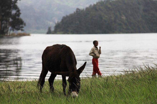 Day Trip to Wenchi Crater Lake - Scenic Views and Photo Opportunities