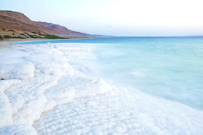 Dead Sea Private Day Tour From Aqaba Port - Operator Information