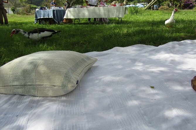 Decoration Class With Walk and Picnic Lunch at Lagoa Azul - Schedule and Timing