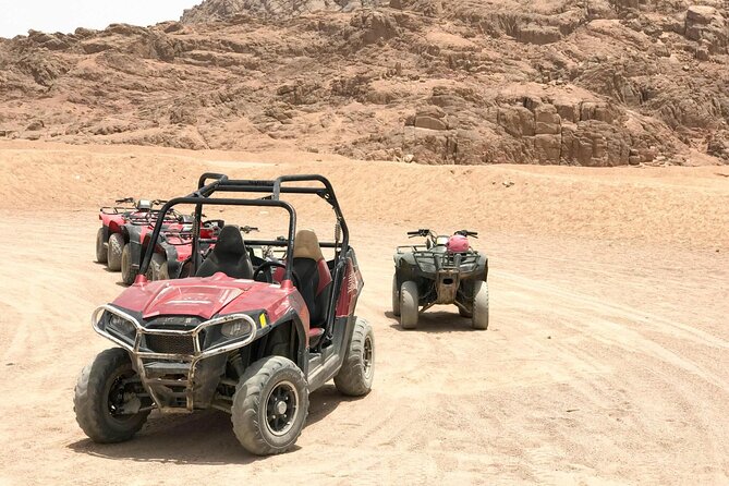 Desert Buggy Safari Driving Sunrise or Sunset in Sharm El Sheikh - Safari Experience Directions