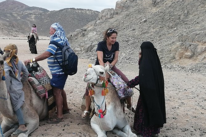 Desert by Jeep From Hurghada - Cancellation Policy