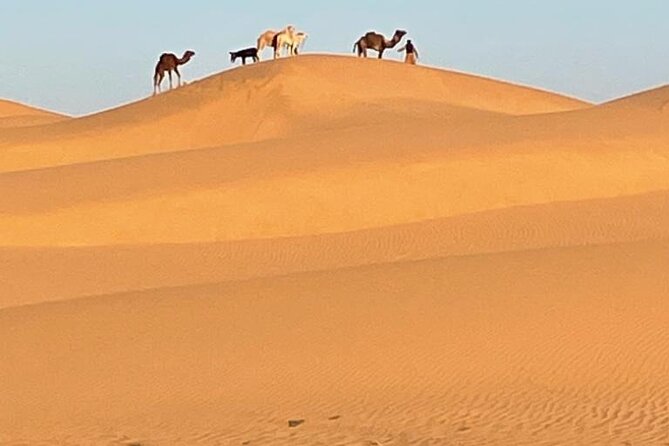 Desert Circuit - Meeting Point