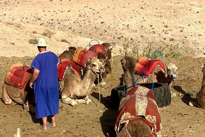 Desert Experience Agafay With Quad Ride Camel and a Dinner Show - Additional Information