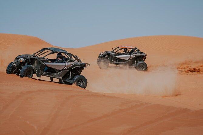 Desert Safari With BBQ Dinner Camel Ride and Live Show - Activities