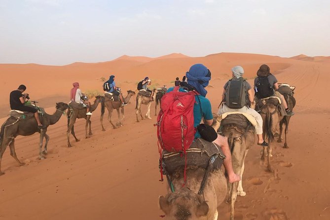 Desert Tour Merzouga From Fes Ends in Marrakech - Meals Included