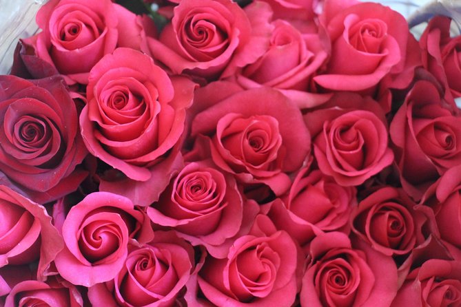 Discover Cotopaxi National Park and Experience a Rose Farm. - Health and Accessibility Considerations