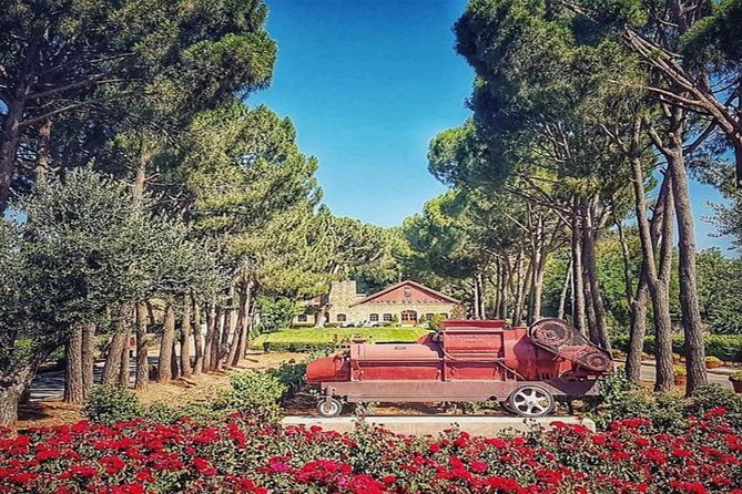 Discover Lebanons Finest Wine: Full Day Tour of the Bekaa Valley - Frequently Asked Questions