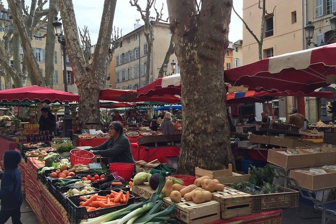 Discover Provence Including Avignon and Luberon Villages With a Local Guide - Pickup Logistics