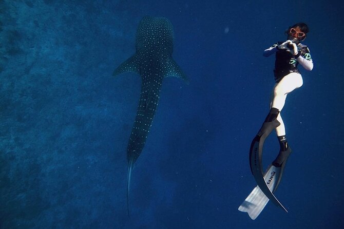 Discover South Ari Atoll - Full Day Tour From Male City - Directions