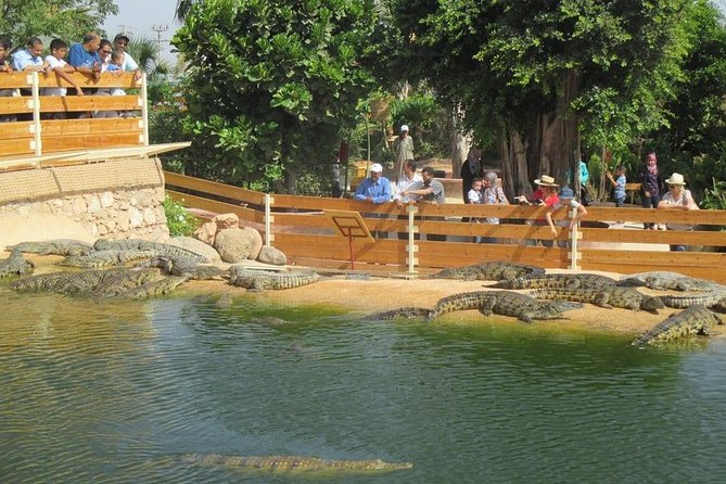 Discover the Amazing Park of CROCODILE - Additional Information