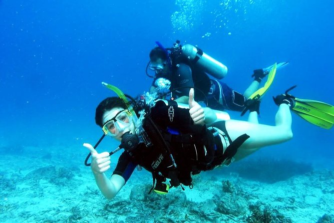 Diving Full Day For Beginners Boat Trip 2 Stops Diving and Lunch – Marsa Alam - Additional Costs