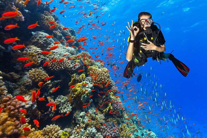 Diving in Hurghada for Beginners With Lunch and Transfer - Booking and Cancellation Policy