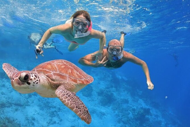 Diving in the Crystal Clear Waters of the Red Sea in Egypt - Booking Your Diving Experience