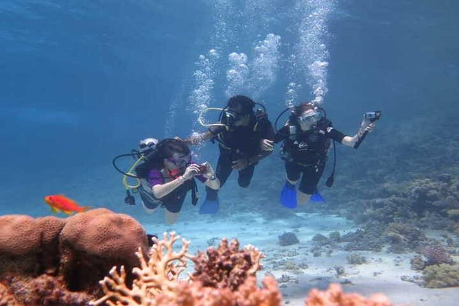 Diving Tour in Hurghada - Accessibility and Participation
