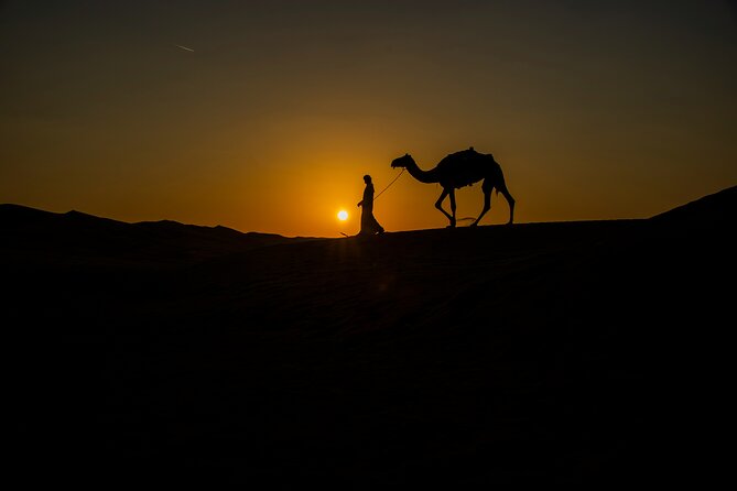Doha Night Desert Safari Adventure - Safety and Health Considerations
