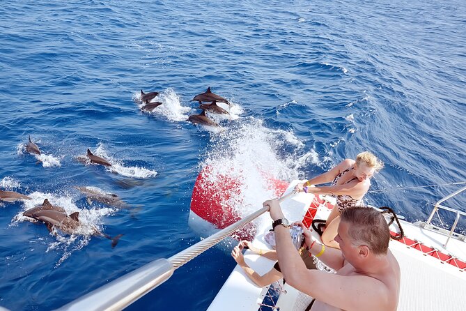 Dolphin House Royal Sea Trip With Lunch, Water Sport - Hurghada - Pricing Details