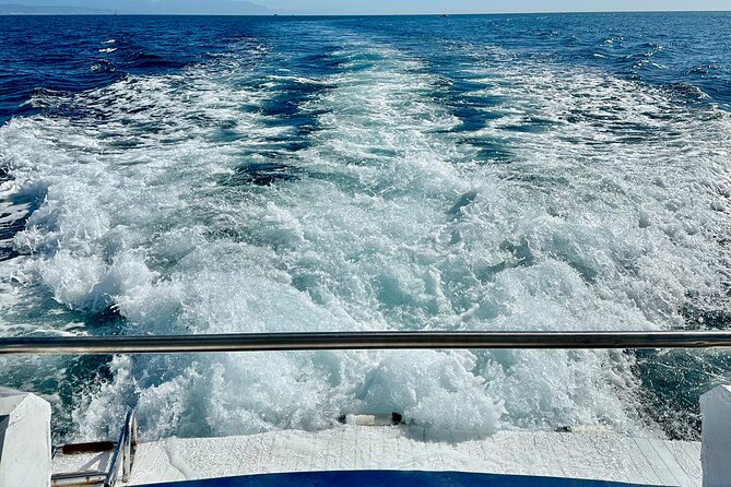 Dolphin Watching in Benalmadena - Inclusions