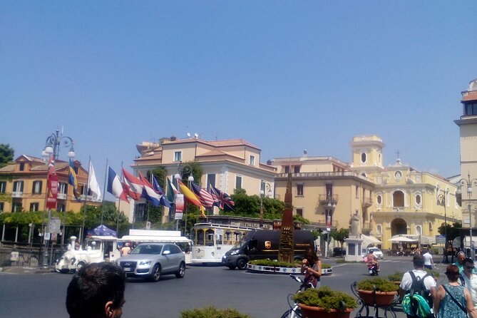 Door-To-Door Private Transfer Sorrento to Fiumicino FCO Airport or Viceversa - Suitcase and Bag Allowance