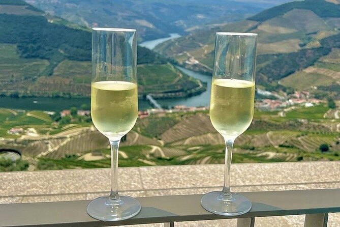 Douro Valley Exclusive Private Tour - Accessibility Information