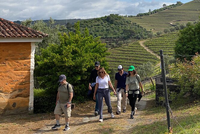 Douro: Walk at Quinta Do Vallado With Lunch and Wine - Exploring Quinta Do Vallado