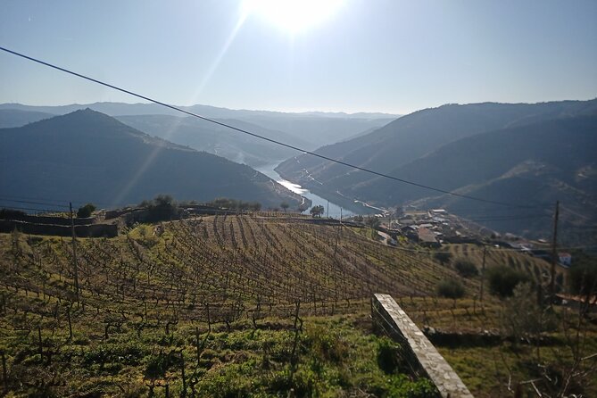 Douro Wine Route Experience, Full-Day From Porto - Important Information