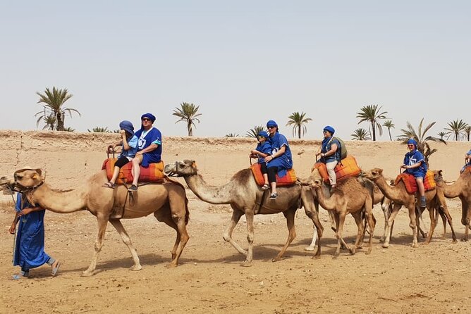 Dromedary in Palmerais - Nearby Public Transportation