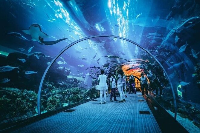 Dubai Aquarium and Underwater Zoo Private Transfers - Directions
