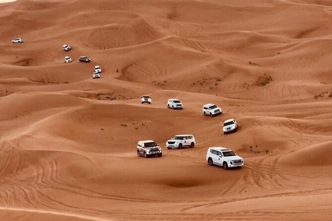 Dubai: Private Morning Desert Safari Falcon Camel & Sandboarding - Location Highlights