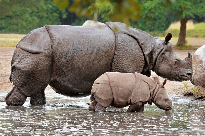 Dudhwa Rhinoceros and Tiger Safari