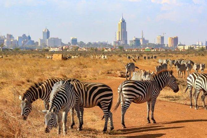 Early Morning Game Drive In Nairobi National Park - Booking Information