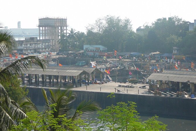 Early Morning Private Bicycle Tour of Mumbai Highlights - Tour Starting Time
