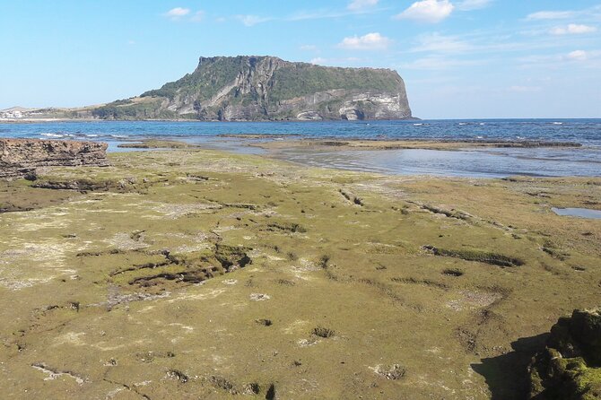 East of Jeju Island Tour in Sky Water Circus -Package Tour - Cancellation Policy