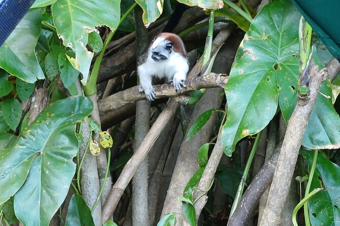 Eco Tour Boat Ride in the Panama Canal Waters - Environmental Impact