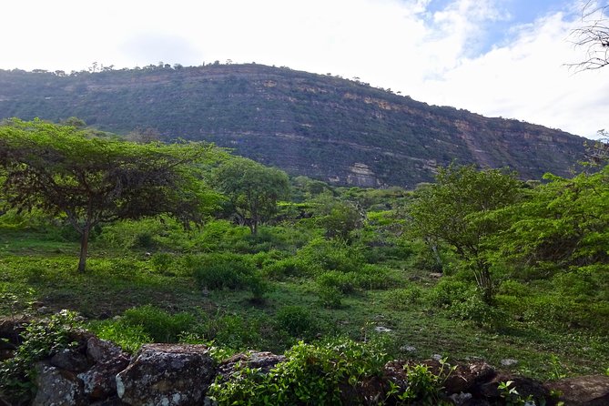 Eco Walk: The Royal Road To Cabrera - Booking Your Eco Walk