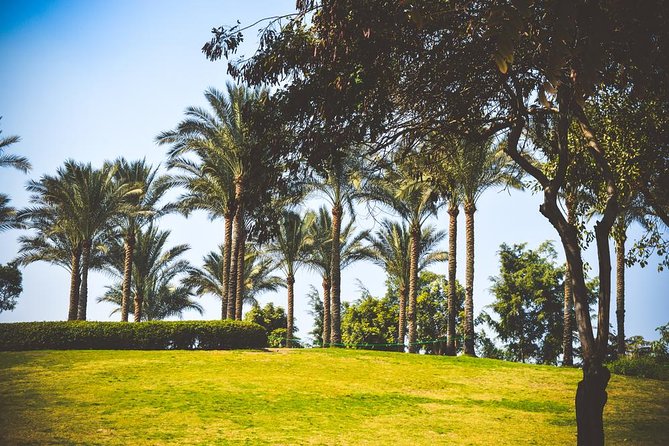 El Moez Street and Al Azhar Park in Cairo - Guided Tours and Experiences Offered