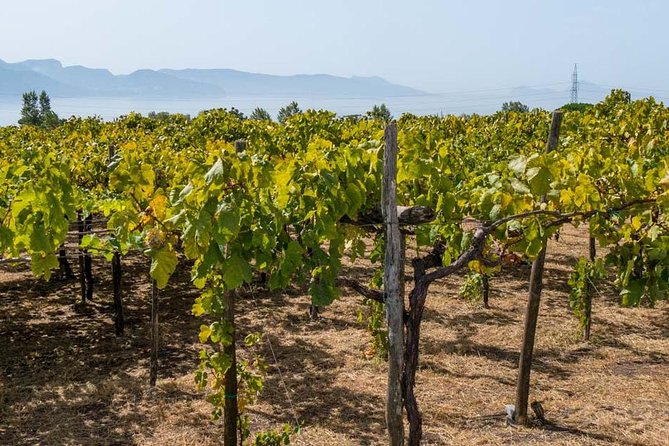 Ercolano and Cantine Del Vesuvio - Lunch Options Near Ercolano