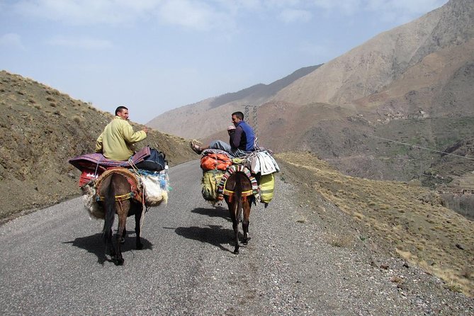 Erg Chigaga Tour - 7 Days - Booking Process