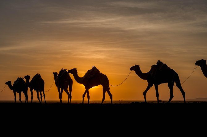 Ertaale and Dallol 6 Days Tour Package - Highlights of the Tour