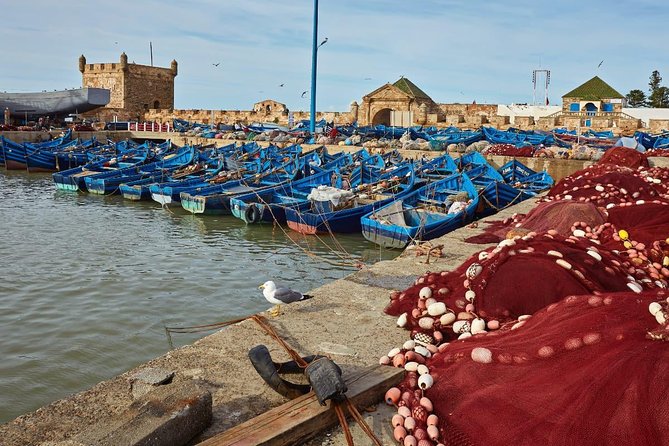 Essaouira City Sightseeing Trip From Marrakech - Booking Information