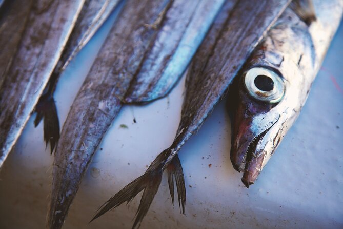 Essaouira Day Trip From Marrakech - Additional Information