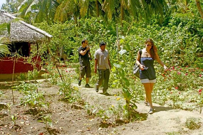 Etili Village Tour From Ella - Cancellation Policy