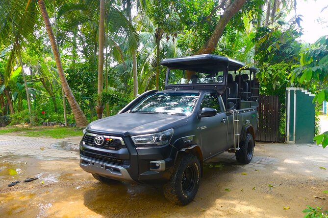 Evening Private Safari at Udawalawe National Park by Jeep - Final Reminders