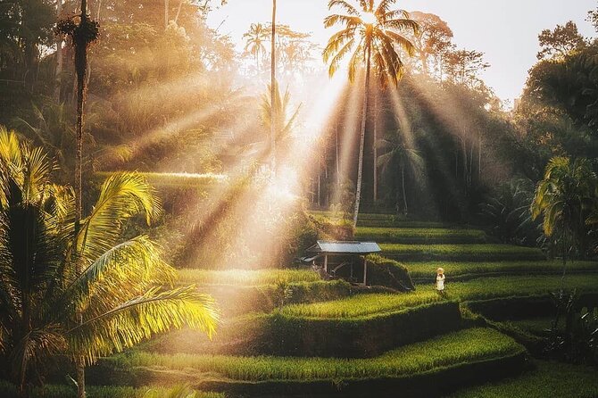 Exciting White Water Rafting and Swing at Tegallalang Rice Terrace Package - Directions to Tegallalang Rice Terrace