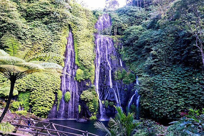 Exclusive Day Tour Waterfalls in Bali - Buyan and Tamblingan Lakes
